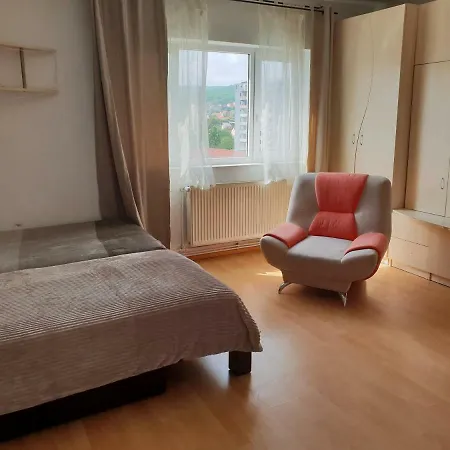 公寓 Muresan Apartament *