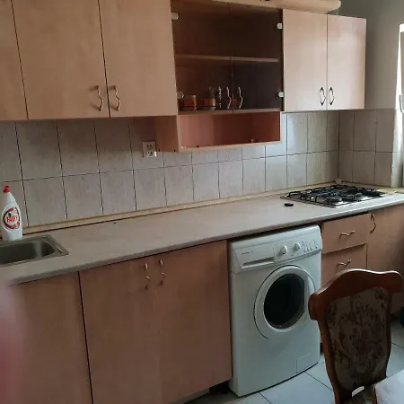 Muresan Apartament * 克卢日-纳波卡