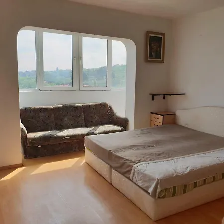 公寓 Muresan Apartament 克卢日-纳波卡